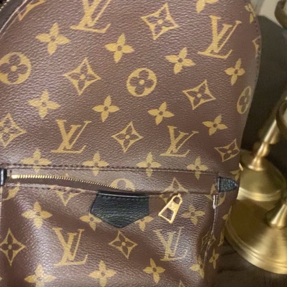 Louis Vuitton 
Monogram Palm Springs Backpack PM - Picture 15 of 15